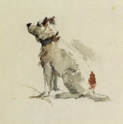 Een Terrier, zittend naar links